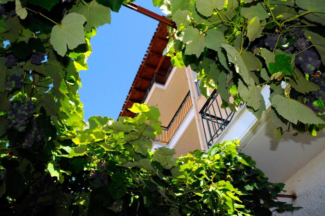 Boutique Hotel Parnassia Arachova Bagian luar foto